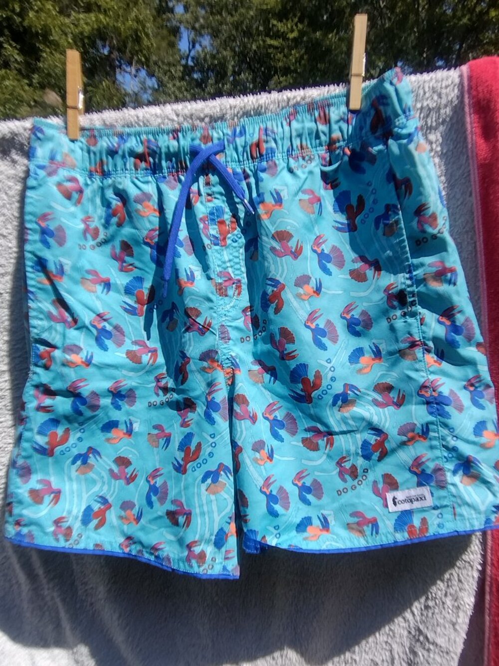 Cotopaxi Boy's Crocadilo Print Shorts Swim Trunks